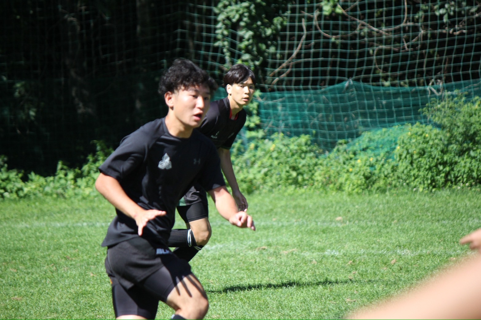 写真1