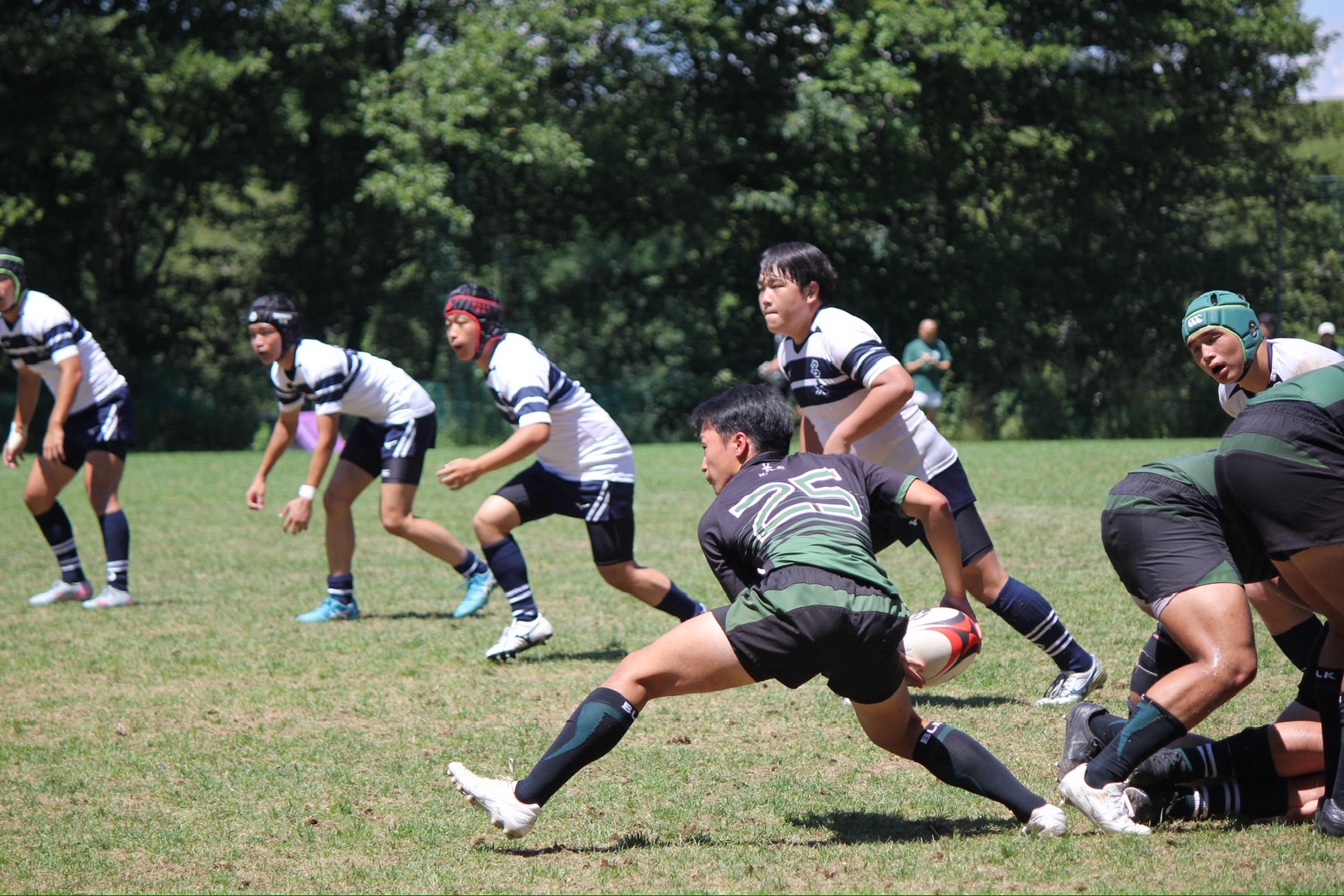 写真1