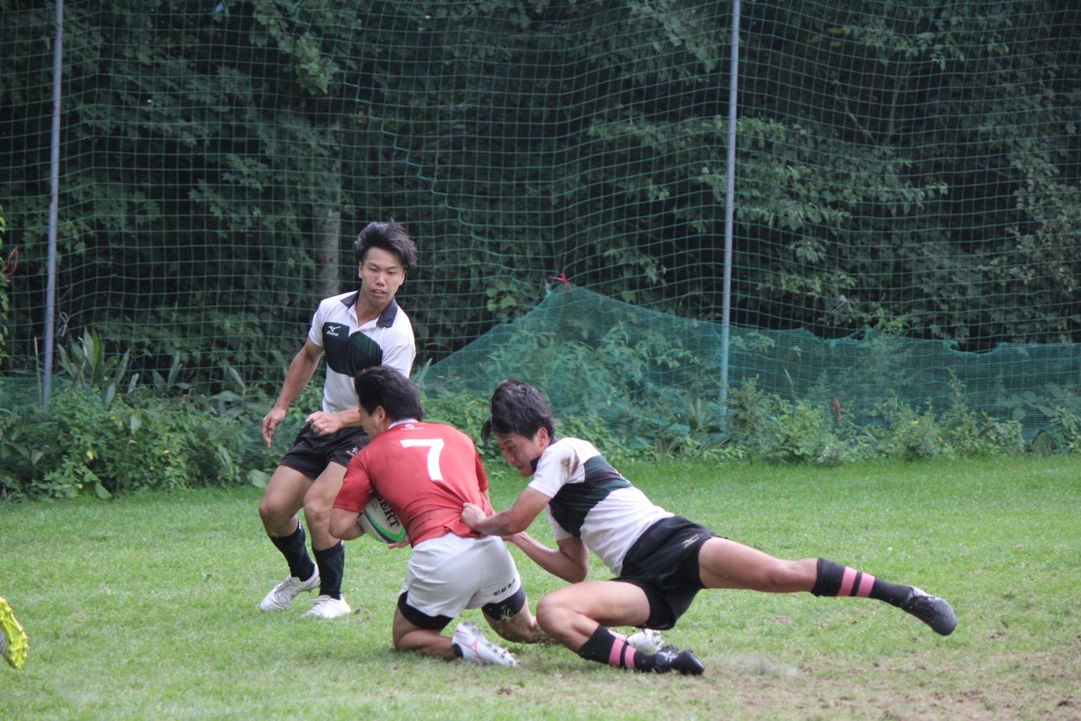 写真1