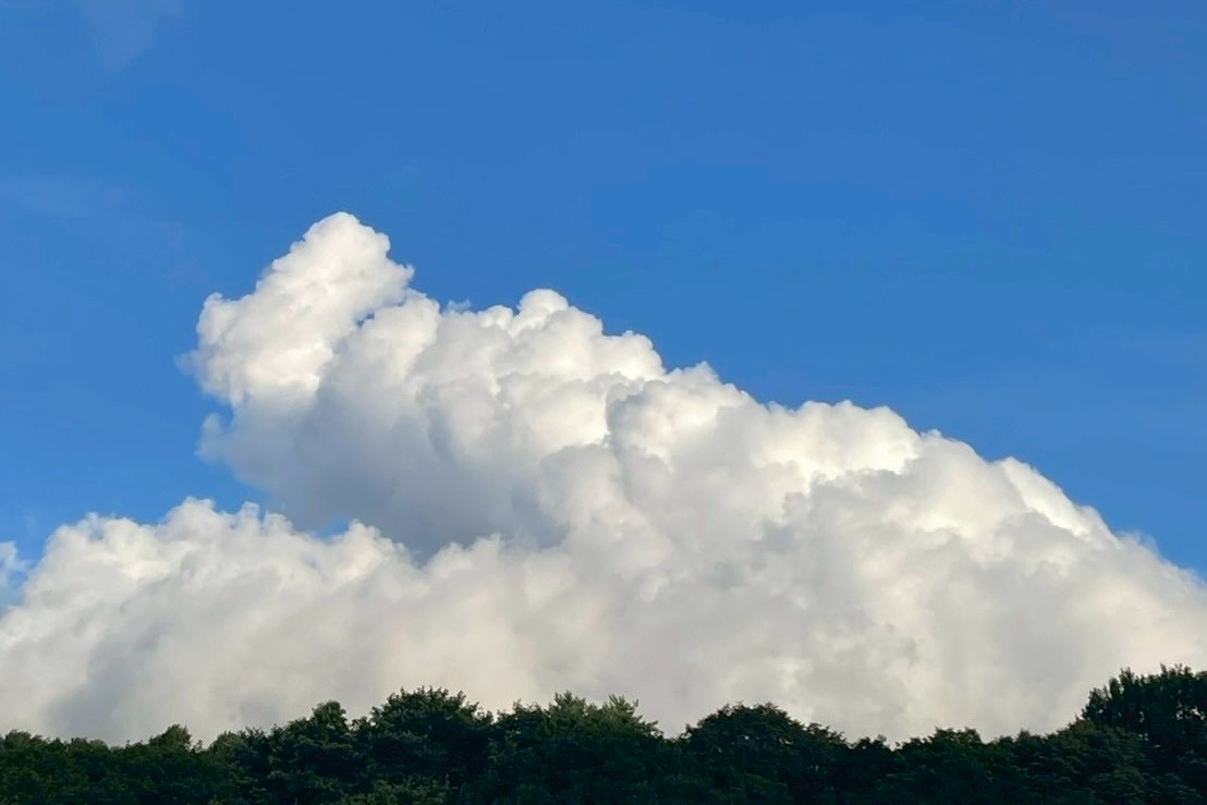 写真1