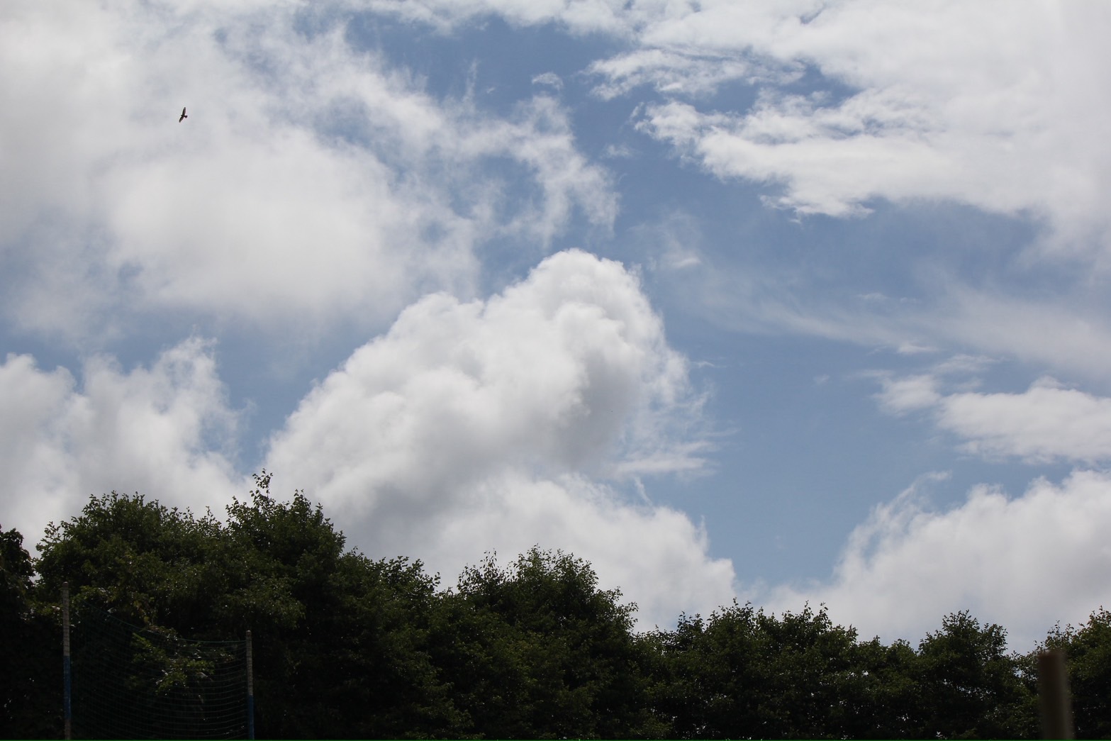 写真1