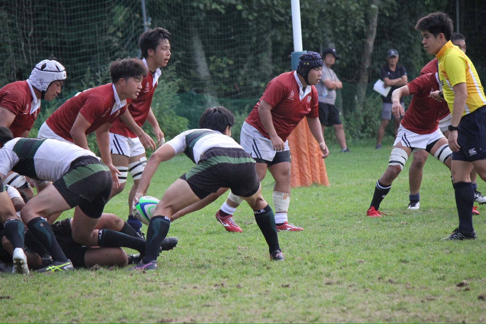 写真1