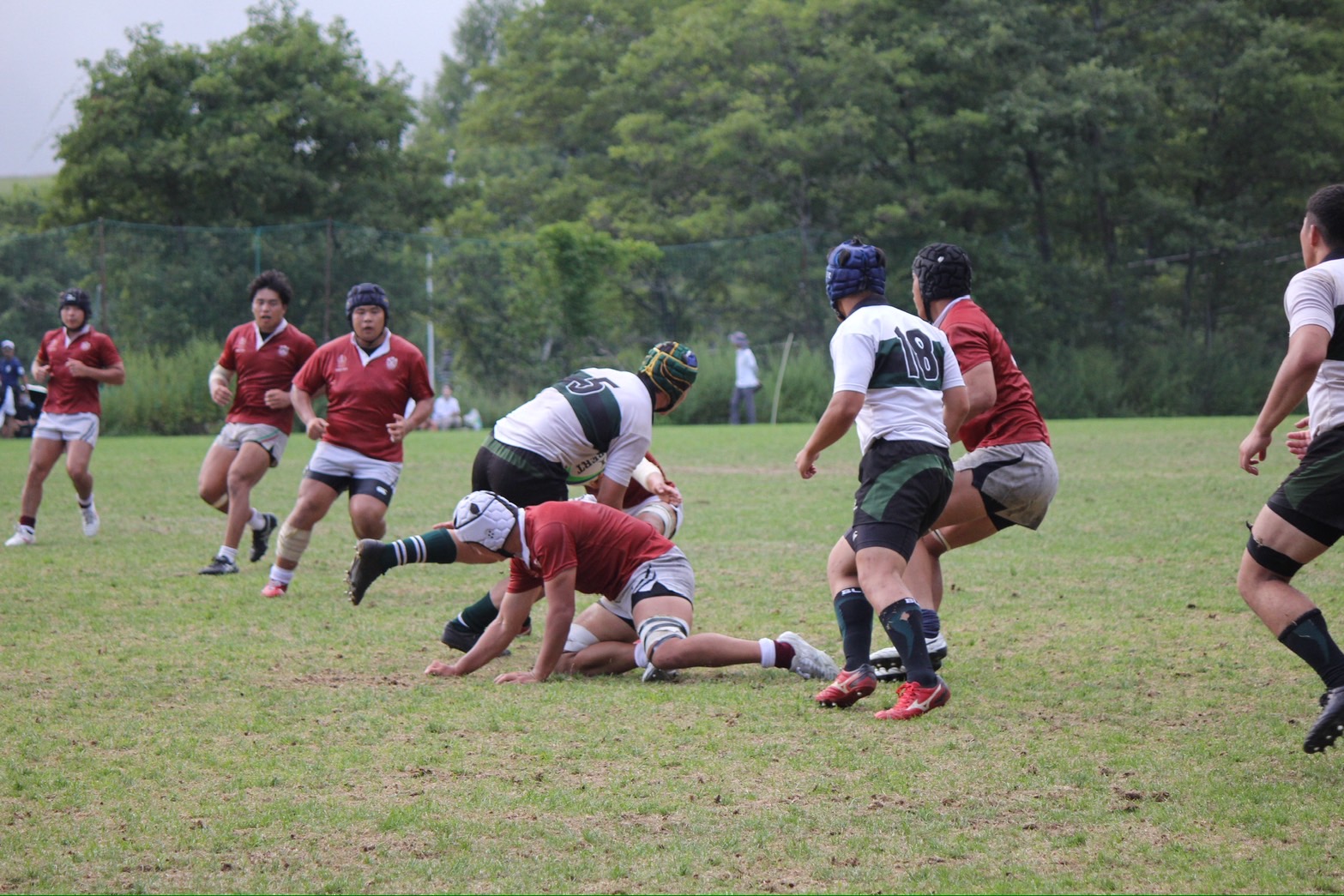 写真1