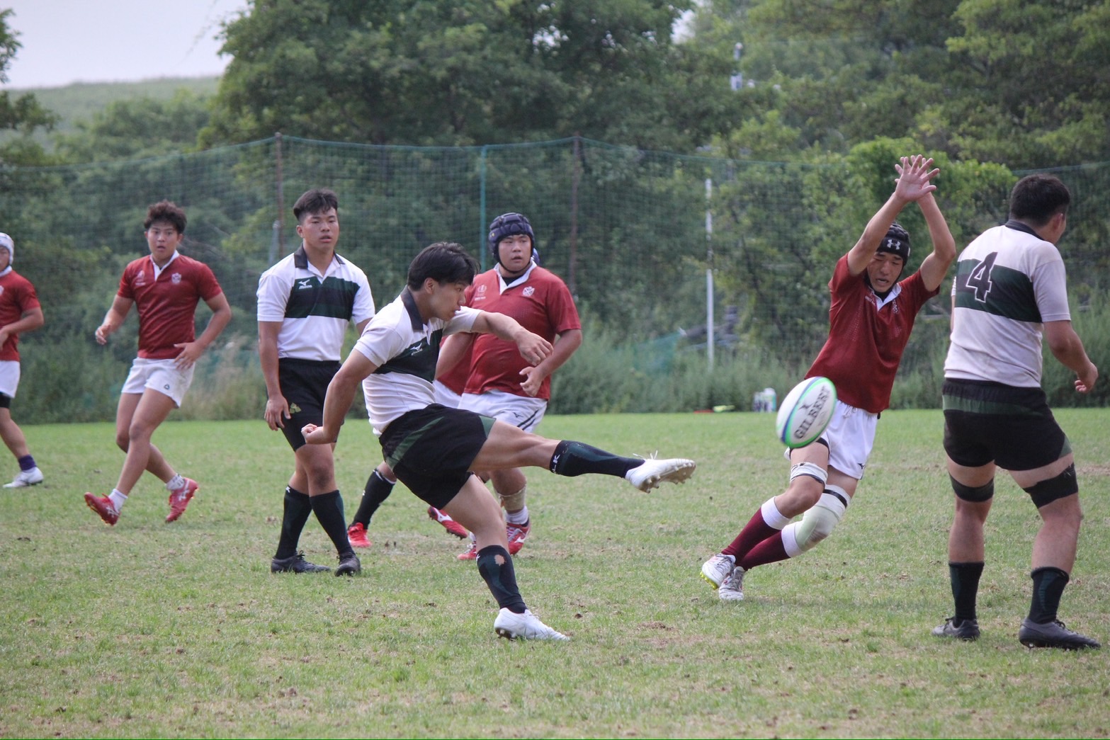 写真1